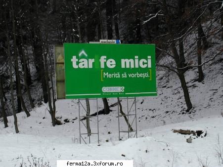CE FACEM DUPA BAC?` - de mers la munte dak vreti la bran. super vila - Evenimente "culturale"